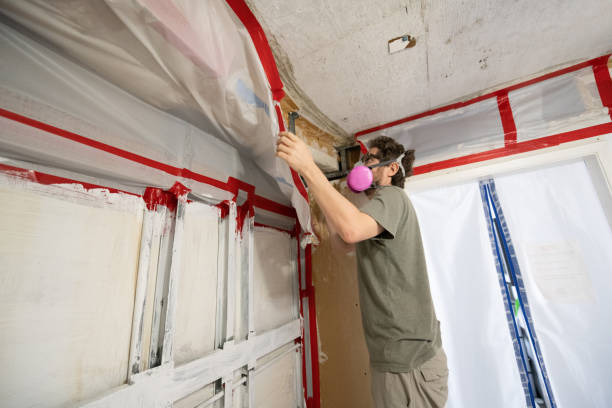 Best Asbestos and Lead Testing During Mold Inspection  in Jefferson City, MO