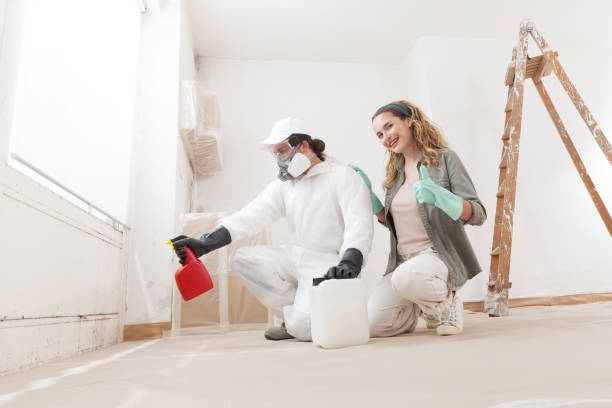 Best Commercial Mold Inspection  in Jefferson City, MO