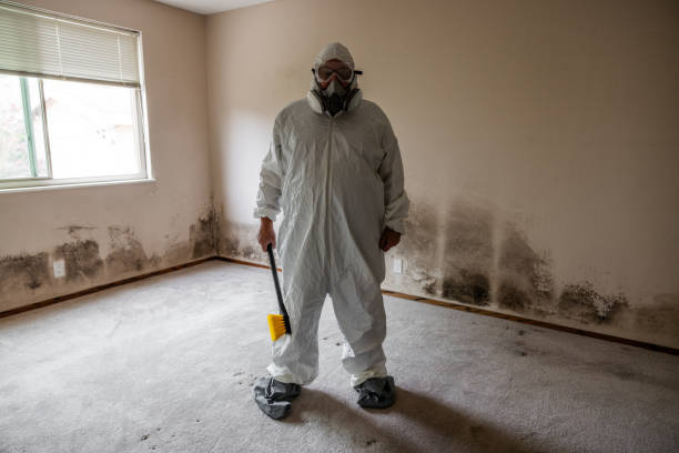 Best Residential Mold Inspection & Testing  in Jefferson City, MO